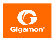 Gigamon